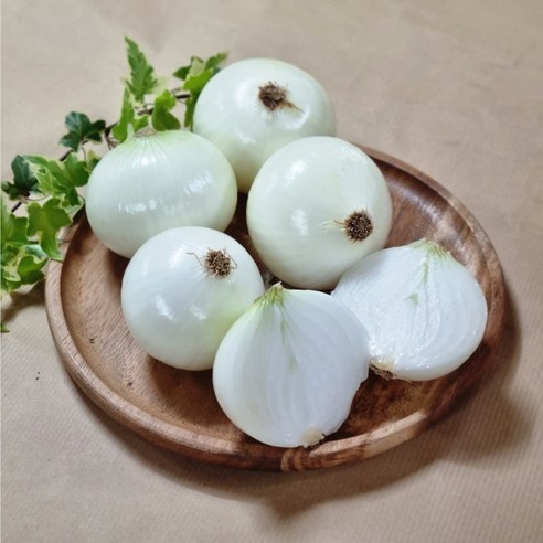 [고파남/당일발송] 국내산 양파, 양파 2kg (소/장아찌용), 1개