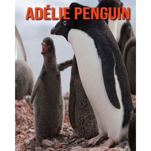 Adélie Penguin: Amazing Pictures & Fun Facts on Animals in Nature Paperback, Independently Published