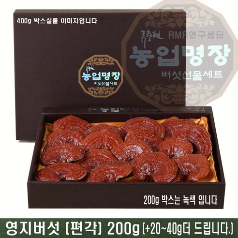 국산영지버섯 200g, 1개