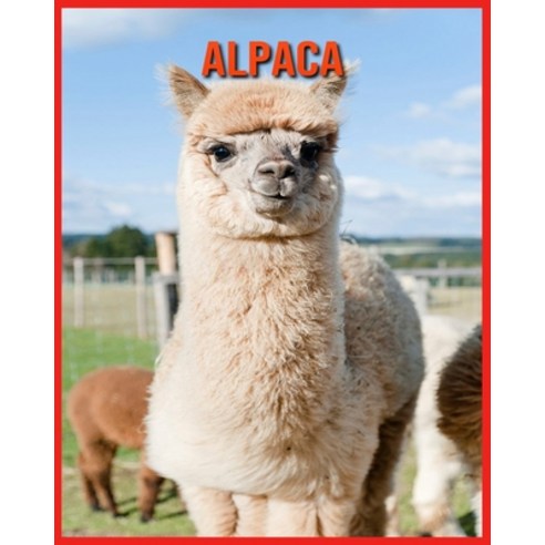 Alpaca: Fascinating Alpaca Facts for Kids with Stunning Pictures! Paperback, Independently Published, English, 9798706174545