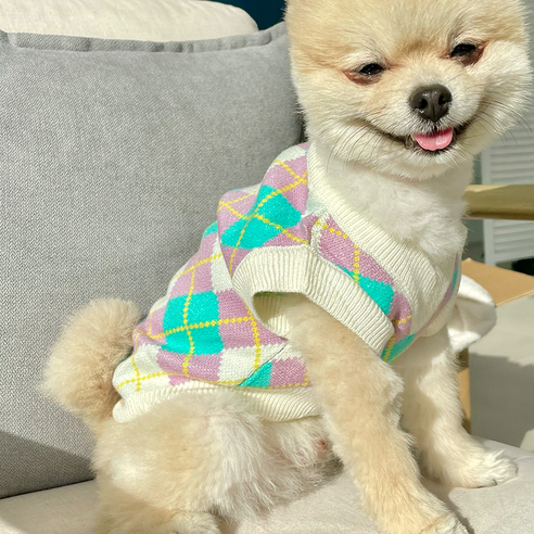 데댕 개오다노 브이넥 강아지 니트 조끼 브랜드옷, light violet