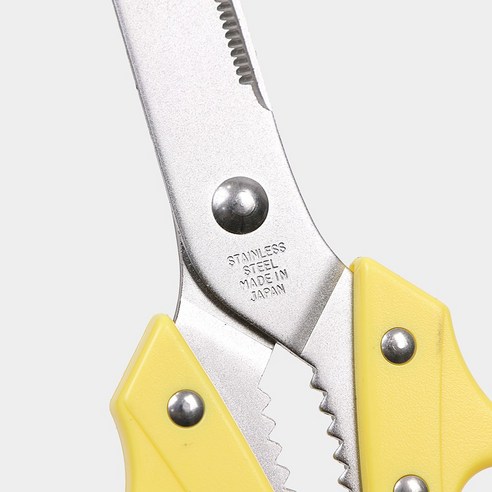 장인의 혼이 담긴 칼날, 주방에 예술을 더하다.