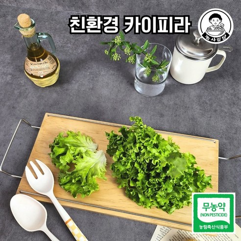 유럽채소 친환경 무농약 카이피라 샐러드 야채 쌈채소, 2개