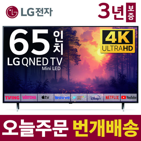 LG전자 65인치 TV QNED 4K 스마트 Mini LED 티비 65QNED83 넷플릭스 유튜브 디즈니 미러링, 5.지방권벽걸이(상하브라켓)