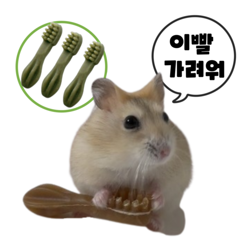 (best상품) 햄스터 이갈이 덴탈츄 비건 간식 인기만점!! 그린, 3개