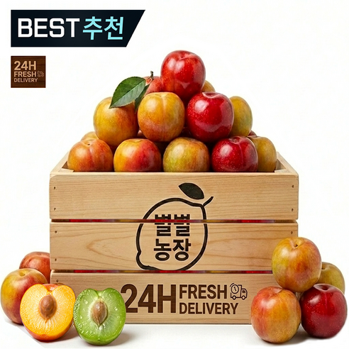 햇자두1위 별별농장 산지직송 제철고당도 하우스자두