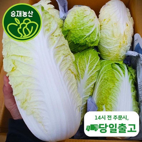 <승 재 농 산> 알배기배추 알배기 알배추 쌈배추 6통 12통, 12개, 12개”></div>
<p> </p>
<div style='text-align: center;'>
<h1><승 재 농 산> 알배기배추 알배기 알배추 쌈배추 6통 12통, 12개, 12개</h1>
</div>
<p>절임배추 절임배추 <승 재 농 산>은 알배기배추로 유명한 제품입니다. 알배기배추는 알배기라는 특별한 기법으로 재배된 배추로, 식감이 훌륭하며 맛과 색이 풍부합니다. 이 제품은 신선한 알배기 배추를 사용하여 김치 및 다양한 음식에 이용할 수 있습니다.</p>
<p>절임배추 <승 재 농 산>은 6통, 12통, 12개의 포장 단위로 구매하실 수 있습니다. 6통의 경우 한 번에 많이 사용하거나 소규모 가정에 적합하며, 12통은 더욱 많은 양이 필요한 가정이나 음식점에서 사용하기에 적합합니다. 또한, 12개의 단위로 제공되는 상품도 있어 개별 소비자들에게 편리한 사용이 가능합니다.</p>
<p>알배기배추는 농촌에서 천천히 자란 배추로서, 신선하고 건강한 재료를 선호하는 소비자들에게 많은 인기를 얻고 있습니다. 재배되는 배추는 철저한 품질관리를 통해 최고의 상태로 유지되며, 신선한 상태에서 발송되어 고객들에게 질 좋은 제품을 제공합니다.</p>
<p>절임배추 <승 재 농 산>은 꼬들꼬들한 식감과 풍부한 맛을 가지고 있어 김치를 만들 때 최적의 재료로 활용됩니다. 또한, 쌈배추로 사용하여 식사 중 다양한 음식과 함께 즐길 수도 있습니다. 개인 소비자나 음식점에서도 다양한 요리에 활용하기에 편리하며, 높은 만족도를 제공합니다.</p>
<p>절임배추 <승 재 농 산>은 알배기배추를 사용하여 높은 품질과 맛을 유지하는 제품으로 많은 사람들에게 사랑받고 있는 제품입니다. 설렘등도 장식으로 사용되며, 다양한 음식과 함께 즐길 수 있는 다재다능한 제품입니다. 풍부한 영양소와 활력을 제공하는 절임배추 <승 재 농 산>을 통해 건강하고 맛있는 식사를 즐겨보세요.  </p>
<div class=