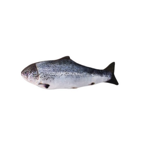기니피그 음직이는 반려동물 물고기 장남감 파닥피쉬 캣닢, 1개, 연어