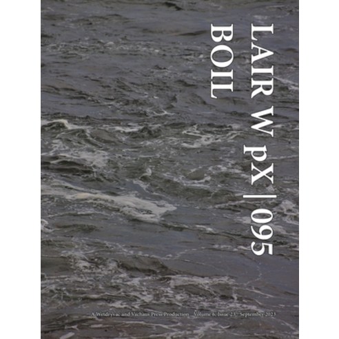 (영문도서) LAIR W pX 095 Boil Hardcover, Blurb, English, 9798210892560