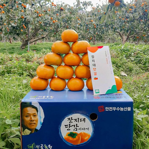 [고급] 40년 고당도 태추단감 배단감 대과 선물용, 1박스, 3kg 특대과 7-11개