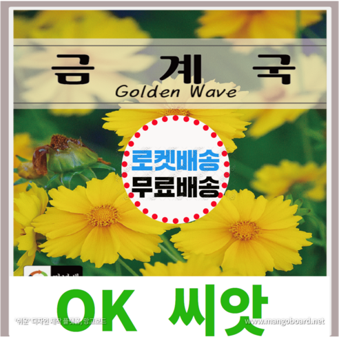 [OK씨앗] [금계국] 금계국꽃씨앗 종자(오케이씨앗), 500립