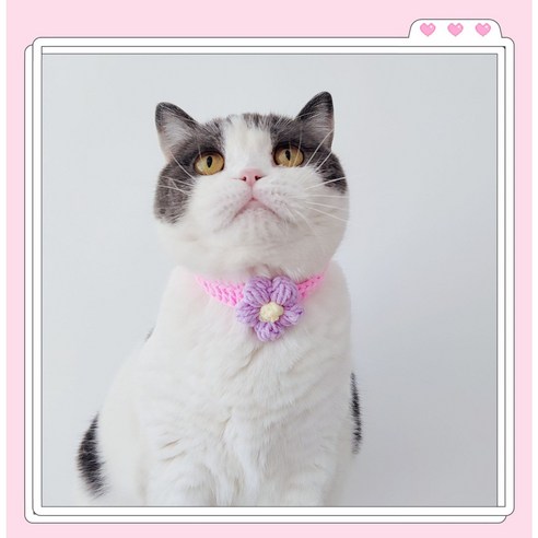 강아지 고양이 애견 케이프 스카프 목도리 턱받이 모음, 꽃 한송이 핑크