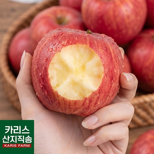 고당도 홍옥사과 농가직송 가정용, 1kg 가격과 구매 전 확인할 기준 1