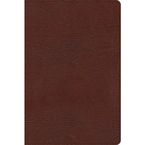 (영문도서) CSB Large Print Thinline Bible Brown Bonded Leather Indexed Bonded Leather, Holman Bibles, English, 9781087774428