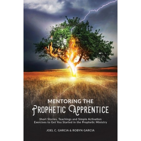 Mentoring the Prophetic Apprentice Paperback, Lulu.com, English, 9780359983599