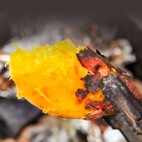 대자연의 숨결이 깃든 달콤한 선물, 소담농부 해남 꿀고구마