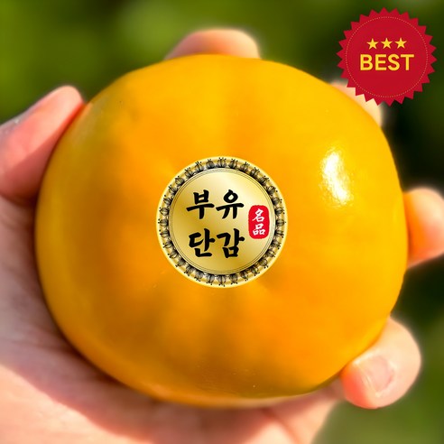 (산지 직송) 경남 부유단감 특품, 10kg (중과 5..., 1박스