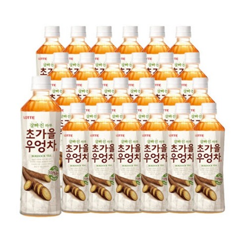 잘빠진 하루 초가을 우엉차 500ml 24입 초가을우엉차음료 Best Top5