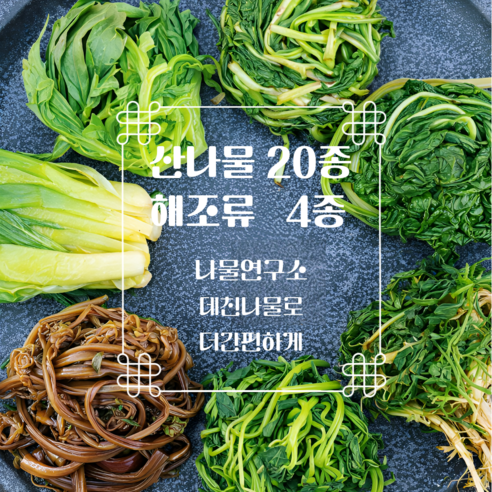 건강밥상25종 나물모둠 건나물 생나물 데친나물, 1개, 데친방풍나물200g