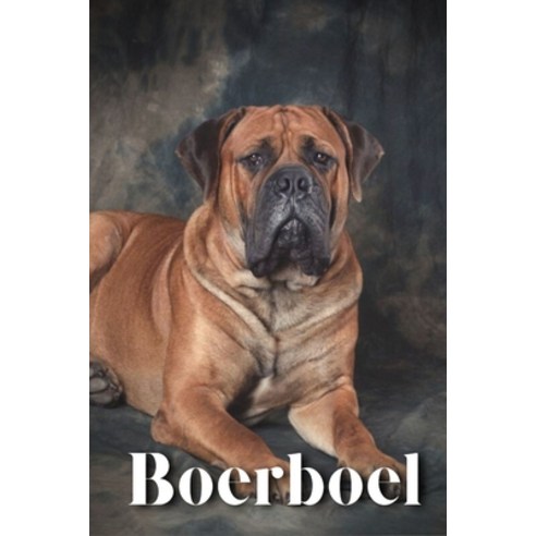 (영문도서) Boerboel: Dog breed overview and guide Paperback, Independently Published, English, 9798851501081