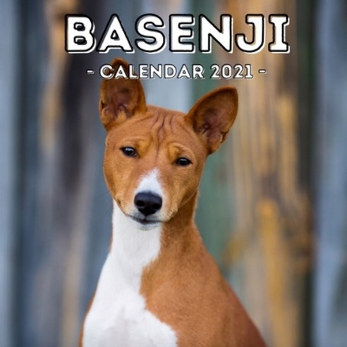 Basenji: 2021 Calendar Cute Gift Idea Basenji Lovers Or Owners Men And Women Paperback, Independently Published, English, 9798585764257