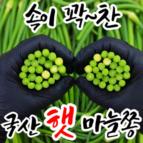 [타임특가] 당일수확 부드럽고 아삭한 100%국내산 햇 마늘쫑, 1박스, 3kg