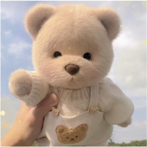 레나베어, 아이의 마음을 사로잡는 포근한 친구