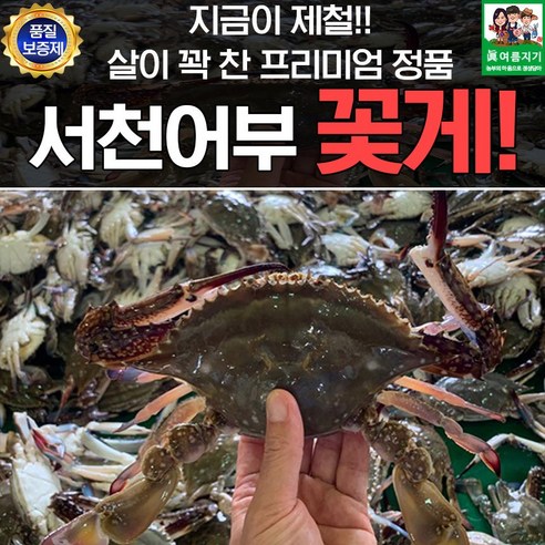 서천어부의 가을꽃게 2kg 6-10미