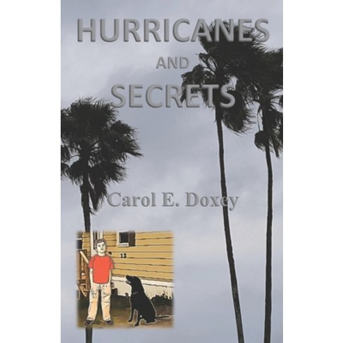 (영문도서) Hurricanes and Secrets Paperback, Vabella Publishing, English, 9781942766827