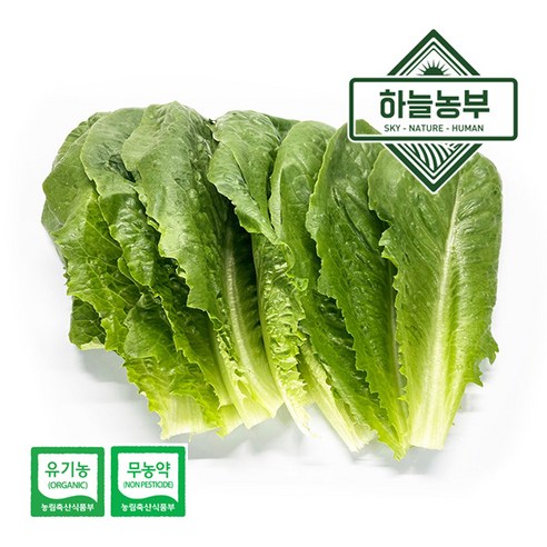 하늘농부 친환경 로메인 150g, 1개