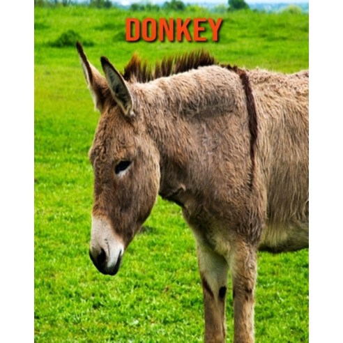 (영문도서) Donkey: Beautiful Pictures & Interesting Facts Children Book About Donkey Paperback, Independently Published, English, 9798512986882