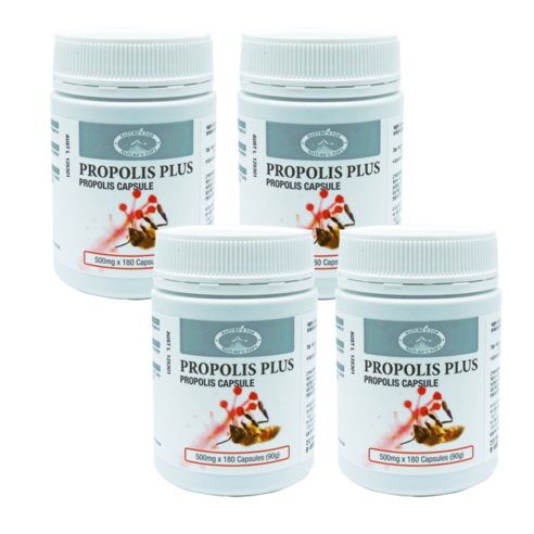 프로폴리스 500mg 180캡슐 3개월분 플라보노이드 propolis 호주 국내배송 4개, 180개