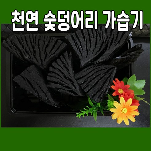 천연 숯덩어리 가습기 (숯가습기 공기정화 제습제 참숯 백탄, 1개