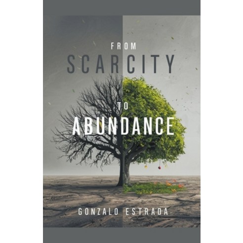 (영문도서) From Scarcity to Abundance Paperback, Gonzalo Estrada, English, 9798224337576