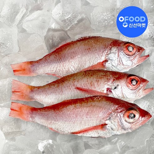 집에서 즐기는 고급 생선, 손질된 금태로 간편하게!