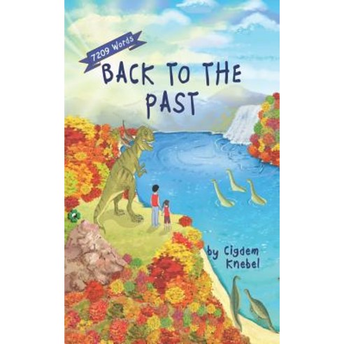 Back To The Past: Decodable Chapter Books For Kids With Dyslexia Paperback, Simple Words Books