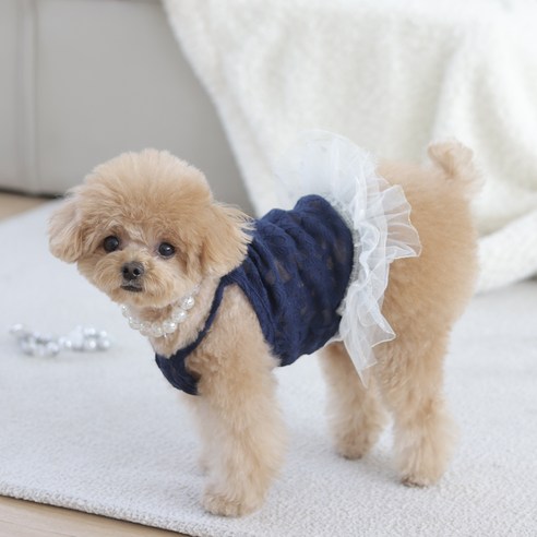 강아지 썸머 레이스 나시 원피스 애견 시스루 원피스 옷, 옐로우, 1개