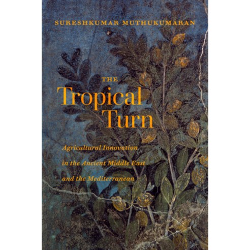 (영문도서) The Tropical Turn: Agricultural Innovation in the Ancient Middle East and the Mediterranean Hardcover, University of California Press, English, 9780520390836