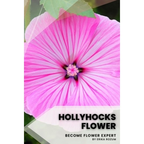 (영문도서) Hollyhocks flower: Become flower expert Paperback, Independently Published, English, 9798391322498