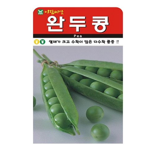 완두콩 씨앗 씨 종자, 3개