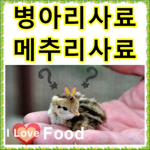 병아리사료 1kg 병아리밥 초이 오리 메추리 조류 소량판매, 6번 배변패드 20매