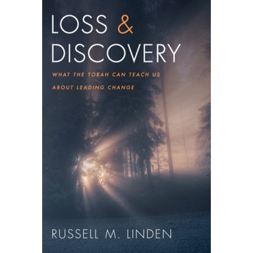 (영문도서) Loss and Discovery Paperback, Wipf & Stock Publishers, English, 9781666701111