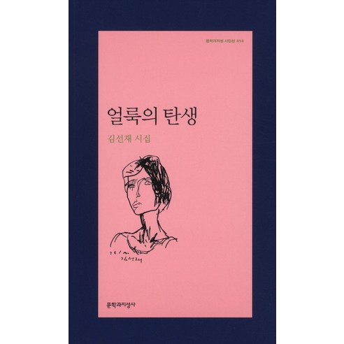 얼룩의 탄생:김선재 시집, 문학과지성사, 김선재 저 옷소매붉은끝동포토에세이양장