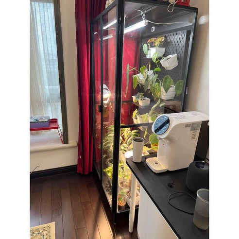 먼지 걱정 없이 싱그러움을 더하다: 탱구리 온실장 솔직 후기