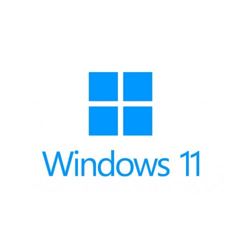 Microsoft Windows 11 Pro 처음사용자용 한글