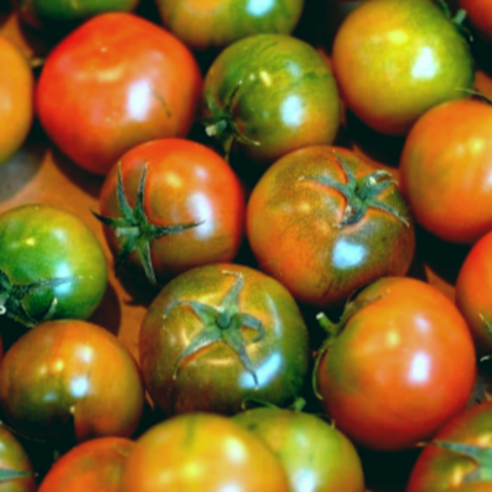 최애의식탁 대저농협인증 단짠단짠 대저 짭짤이 토마토, 1개, 특품 대저 토마토 2.5kg/M 
과일