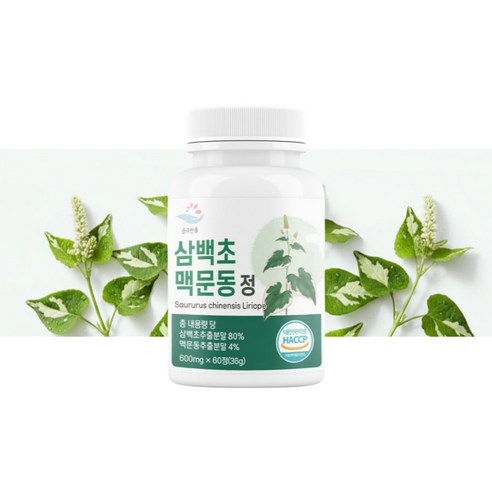 삼백초추출물 1개 삼백초 미퀠리아닌 맥문동