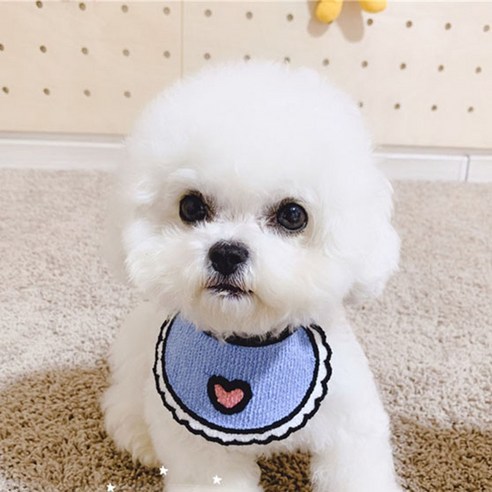 알알 강아지 고양이 편안한 케이프 M + 옷걸이, 하트(블루), 1개