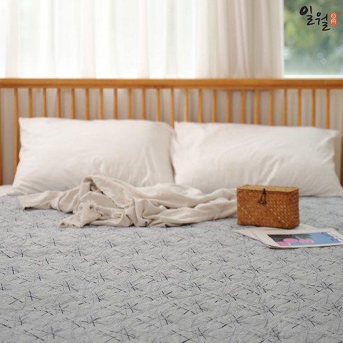 포근함과 경제성을 동시에! 일월 카본매트로 따뜻한 겨울나기