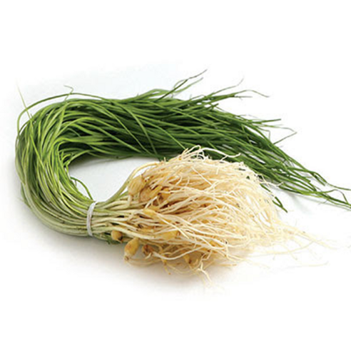 달래 1kg 업소용/대용량 나물